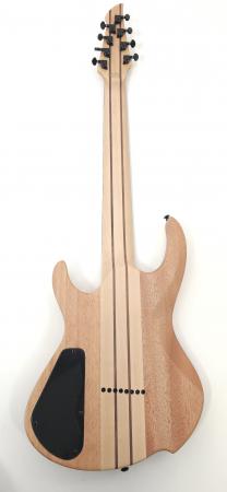 intrepidpro828ebcpnatspalted230715-3