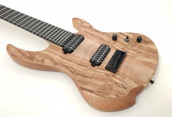 intrepidpro828ebcpnatspalted230715-5