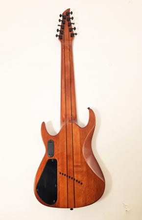 Agile Pendulum Pro 102730 – 10-String 27
