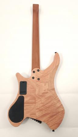 geodesicpro62527EBMODBluePurple3