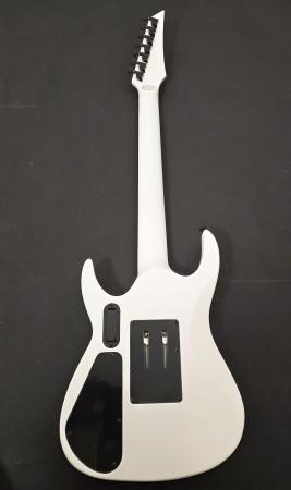 interceptorpro725EBEMGTribalWhiteBound3