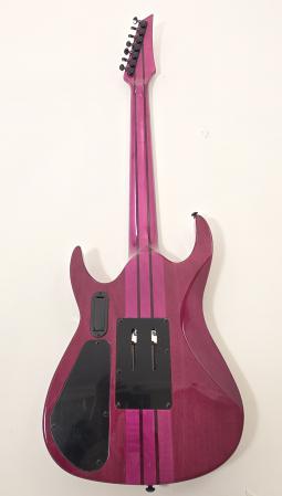 nterceptorPro727EBEMGTribalPurple3