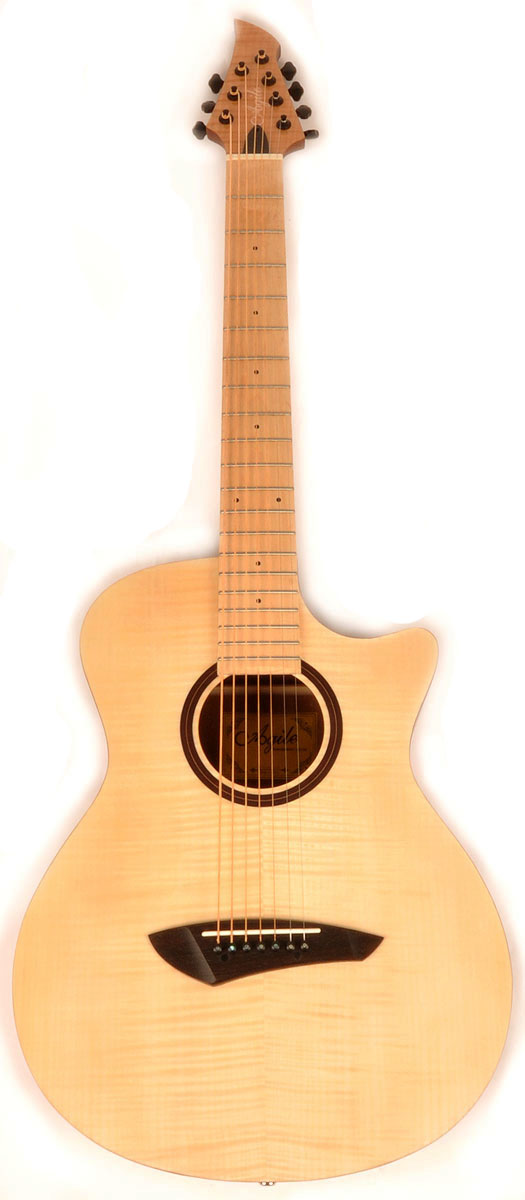 Agile 7 string acoustic cheap