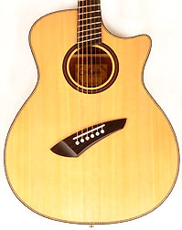 Agile Renaissance 62527 RL EQ EQ NA 6 String Acoustic Multiscale Advanced Orde (1-22)