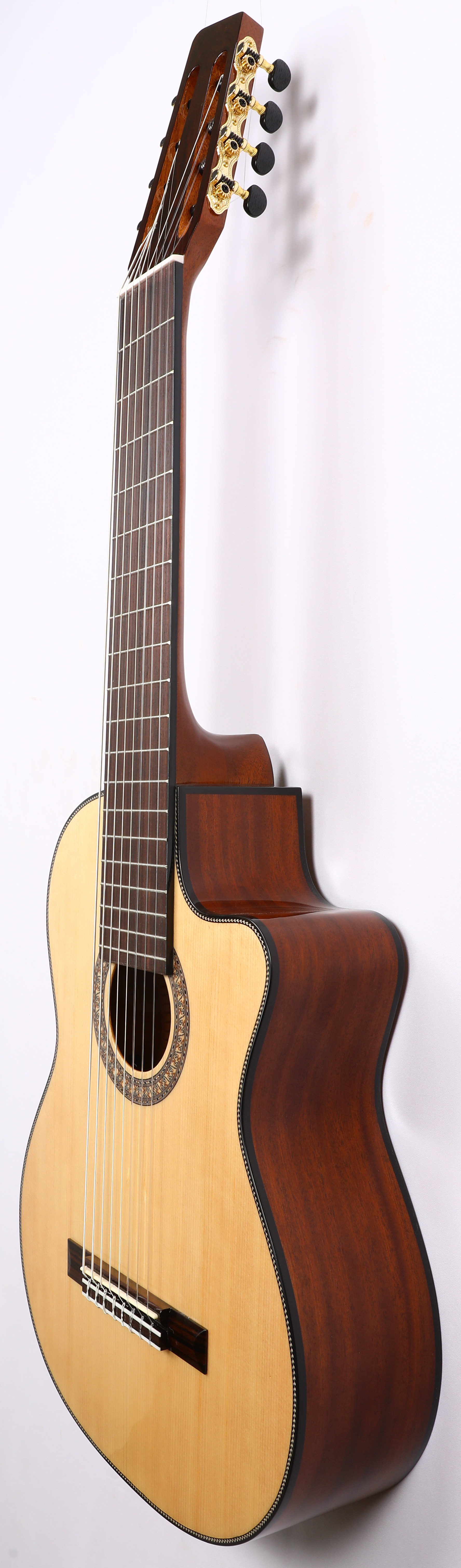 Agile Renaissance Classical 827 EQ CUT NA