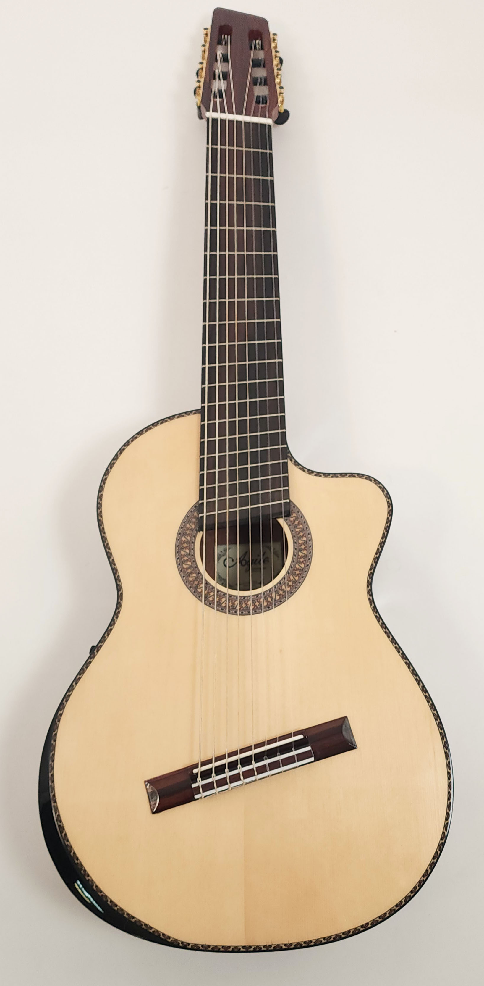 Agile Renaissance Classical Pro 82527 EB EQ Cutaway NA w