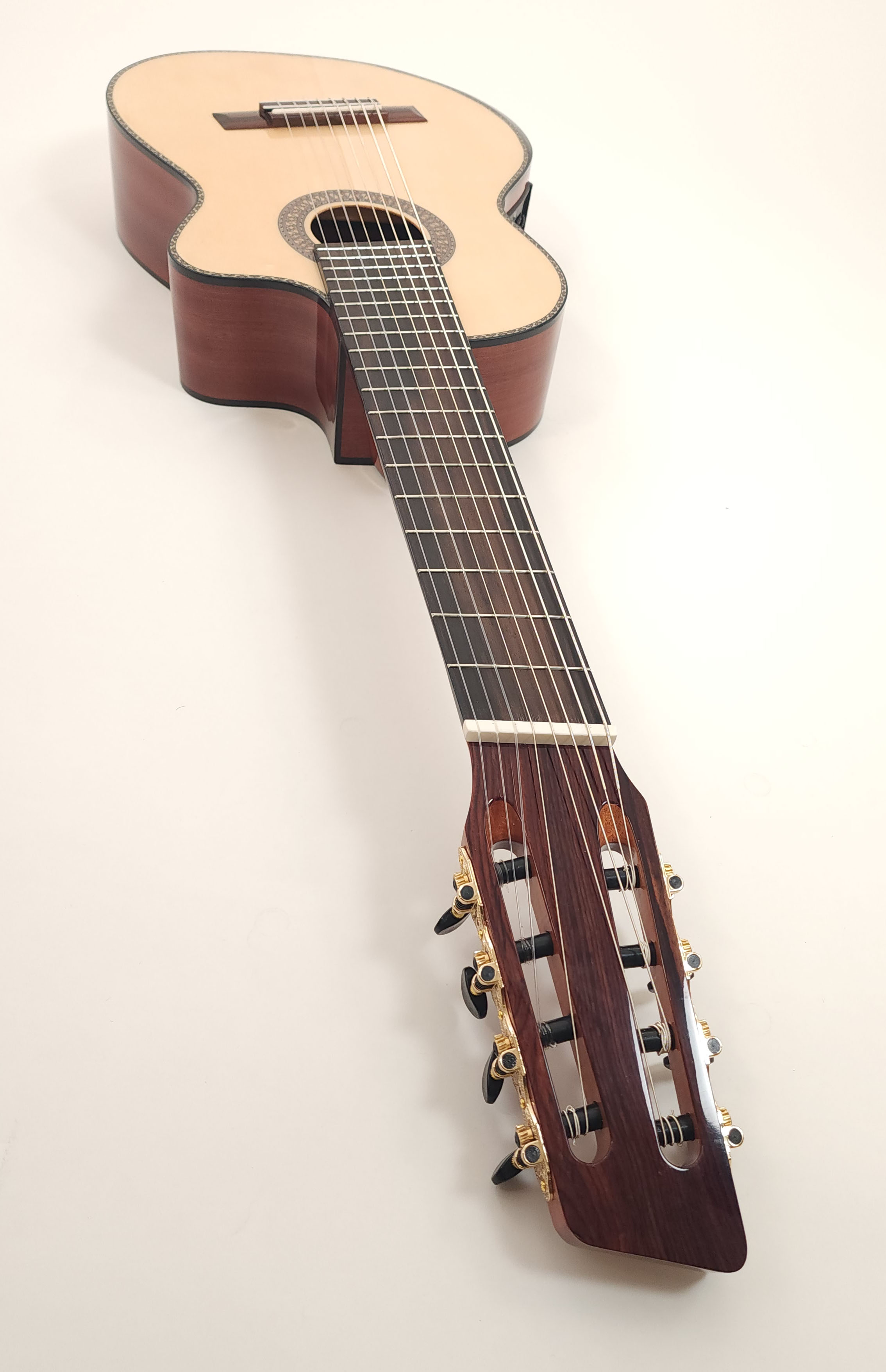Agile Renaissance Classical (Nylon String) 82527 EQ Cutaway