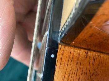 Agile Renaissance Classical 82527 EB EQ Cutaway NA (Nylon String)