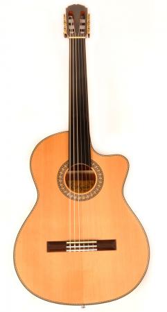 Agile Renaissance Classical 625 EQ CUT Fretless Guitar