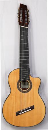 Agile Renaissance Classical 82628 RL EQ Cutaway NA (Nylon String) C Stock