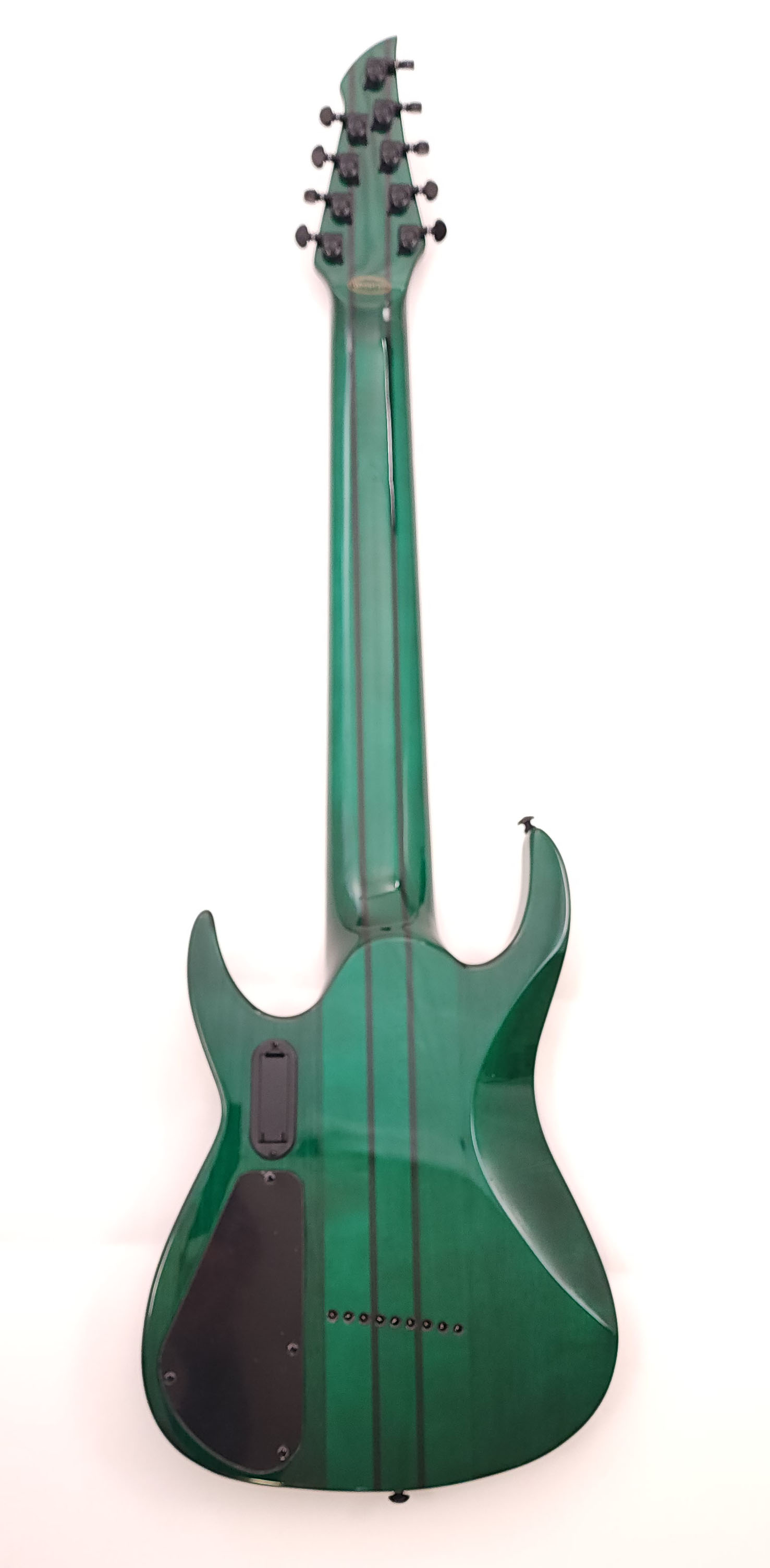 septorelt930ebemglizardbmn3.jpg