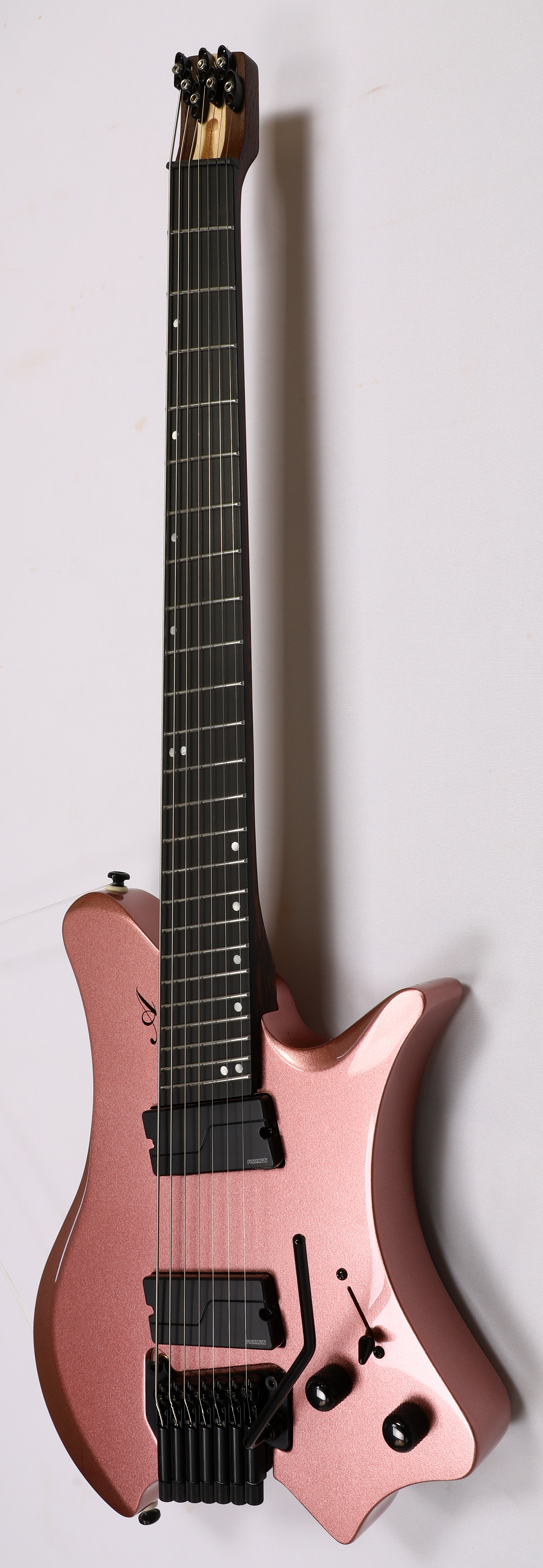 Agile Perihelion 10弦 Agile Perihelion 10弦 Agile 10 String Fan Fret Guitar w
