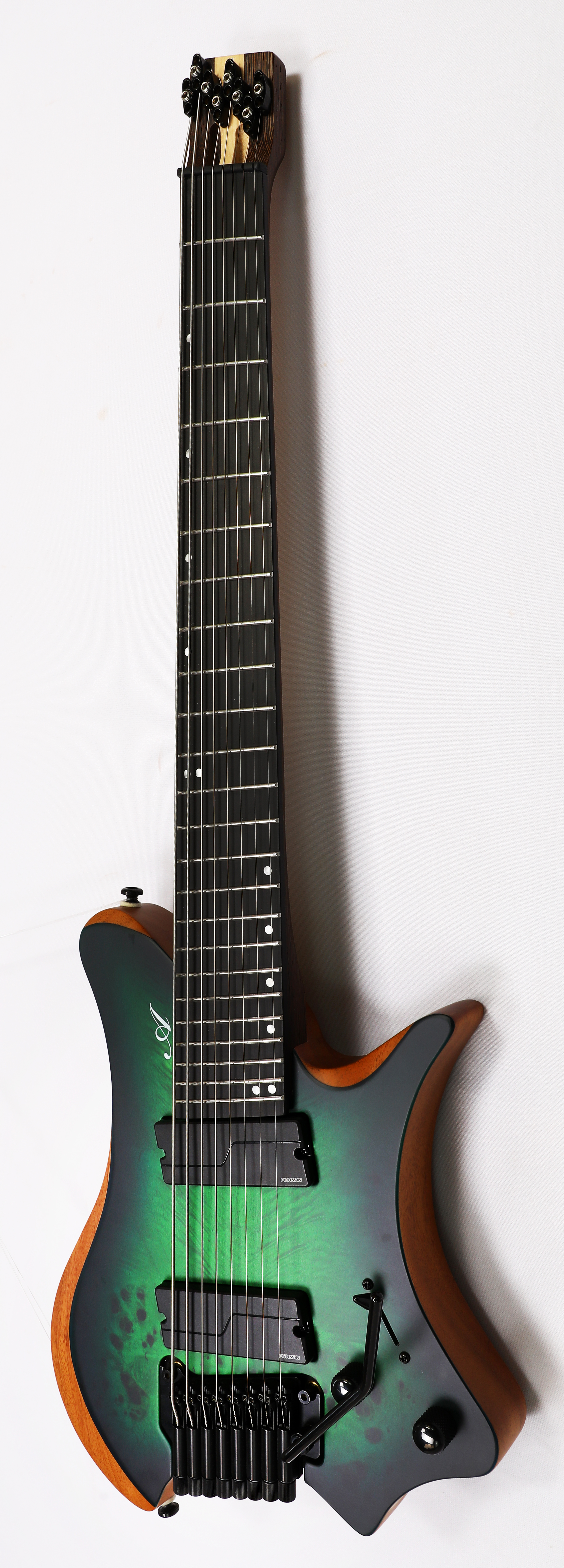 Agile Perihelion 10弦 Agile 10 String Fan Fret Guitar w/ stainless frets & Fishman