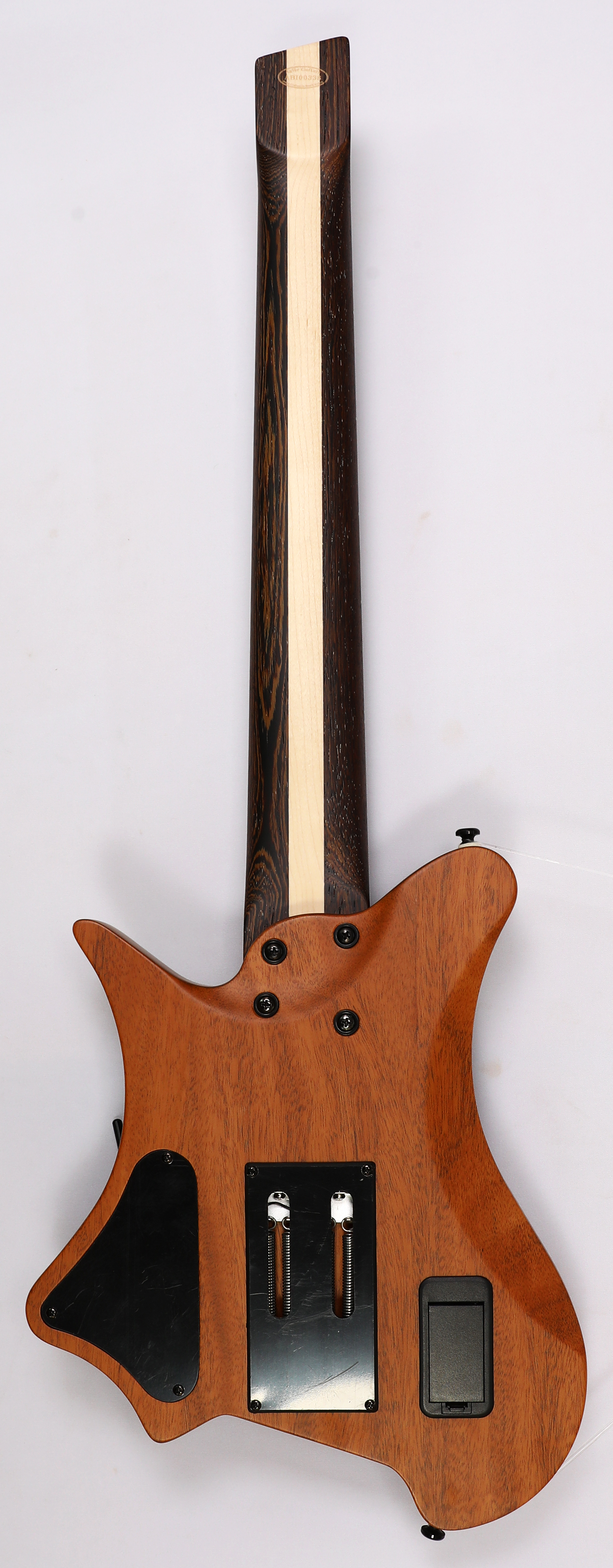 Agile 10 String Fan Fret Guitar w/ stainless frets & Fishman