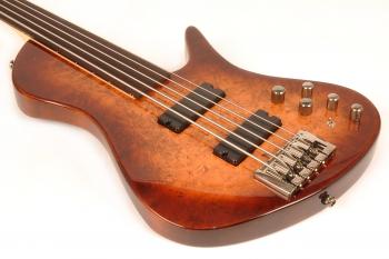 freak535bbrfretless5