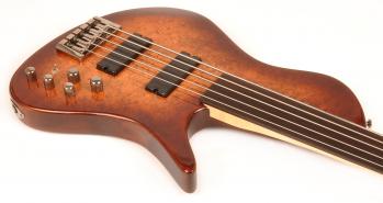 freak535bbrfretless6