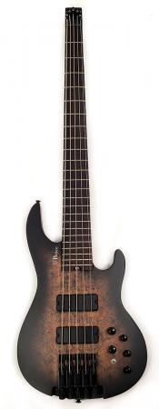 Brice HXB-534 Headless Black Burl 5 String w/Case