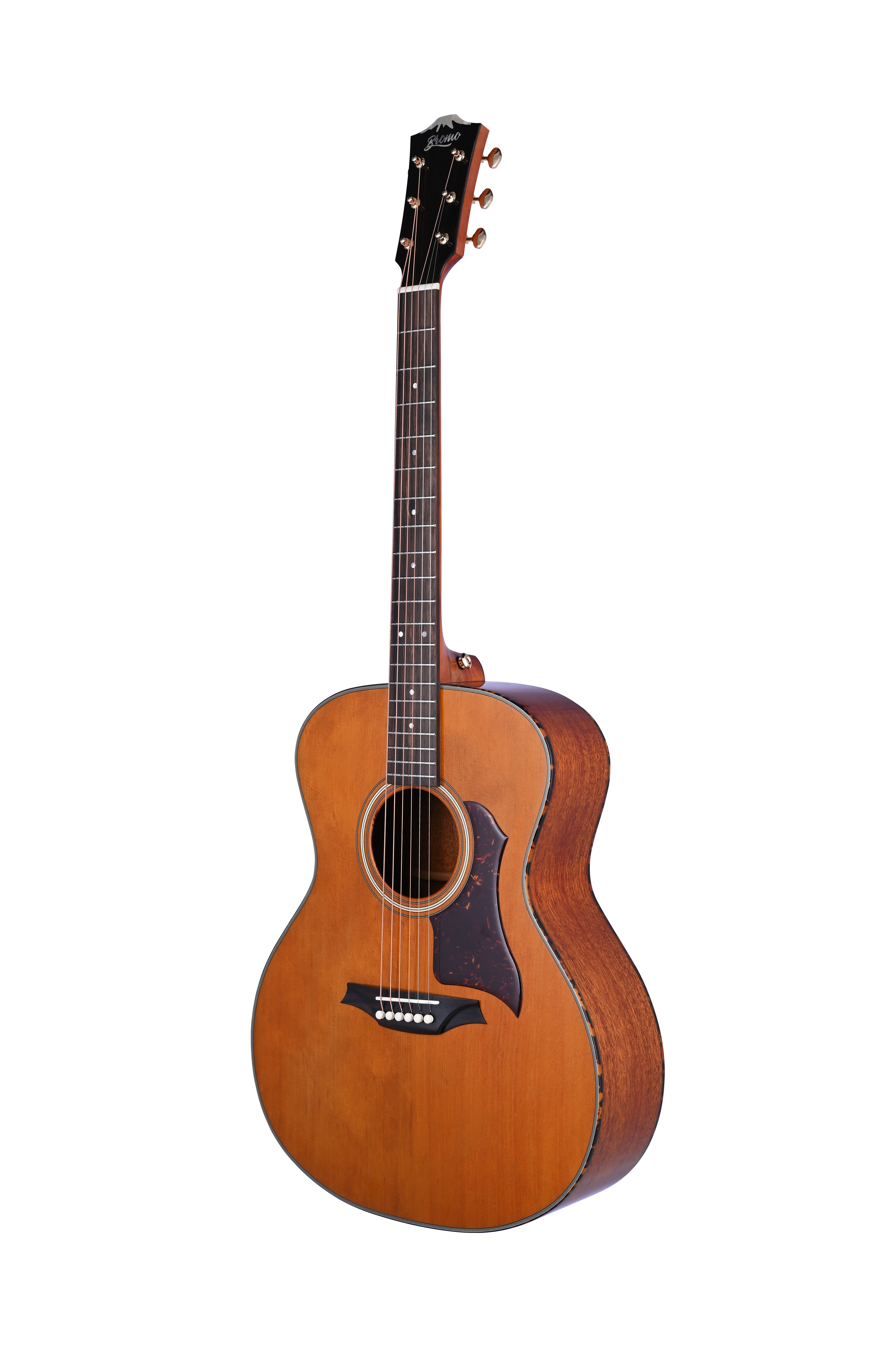 AKT-00174