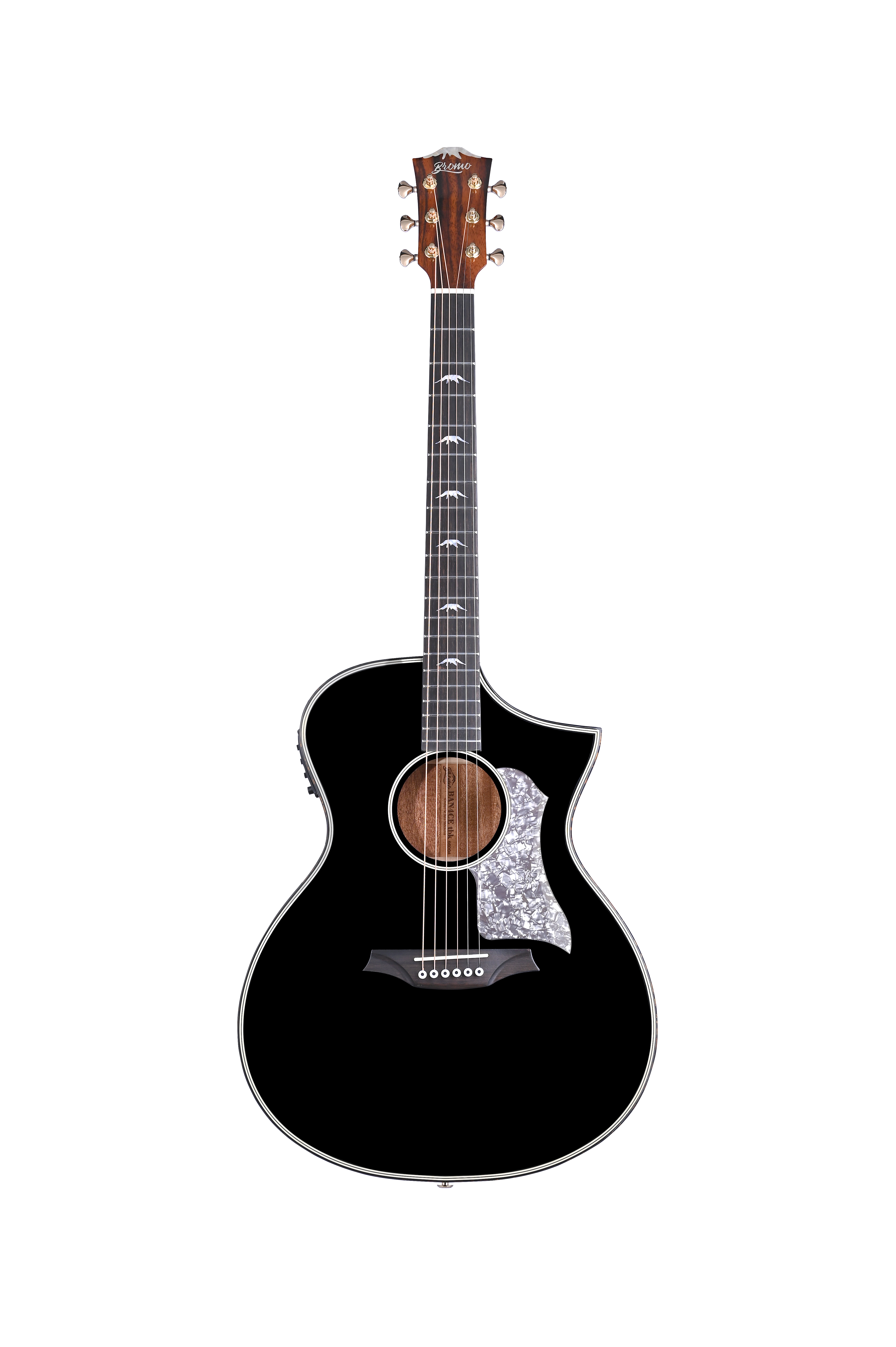 AKT-00219-bk