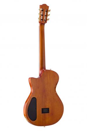 4-BEN2C_3ts-Back--1-