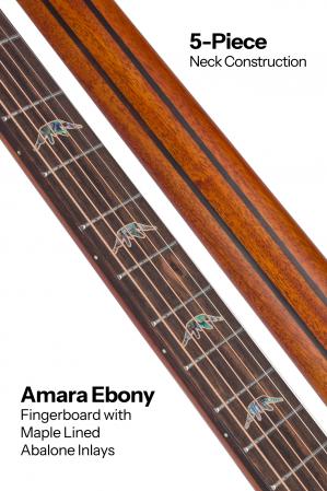 5-BAN8Evs-Neck