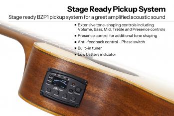 5-BAT2CE-SG-Pickup