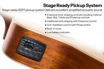 5-BAT4CE-SG-Pickup