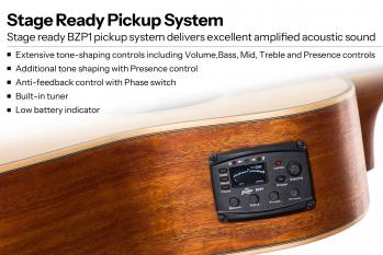 5-BAT4CEL-SG-Pickup