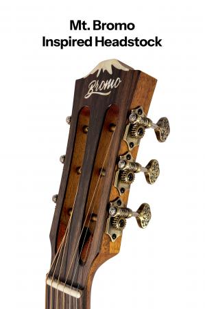 6-BAR6E-Headstoc