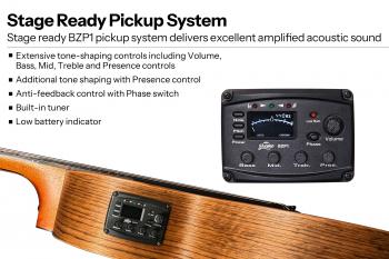 6-BAT8MEbk-SG-Pickup