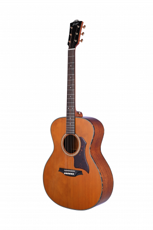 Bromo BAN 2V Solid Top Grand Auditorium Guitar Advanced Order 9-15