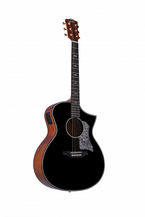 AKT-00233-bk