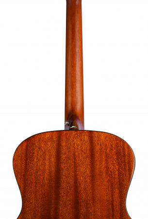 AKT-00452