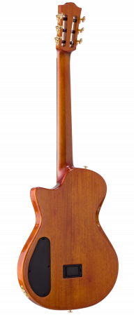 BEN2C-tbk-back-right