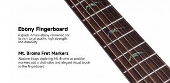EbonyFingerboardFretMarkers