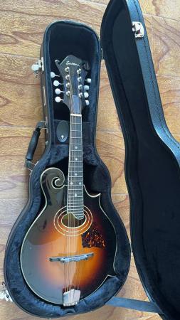 Case-with-F-mandolin