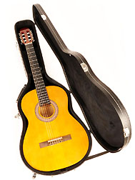 Douglas CGC-200 Classical Guitar Case