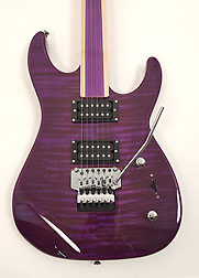 Hadean EG-628 WPP Fretless Guitar