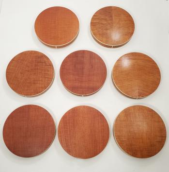 Baby Got Back - Banjo Backs (Resonators)  - 8 Pieces