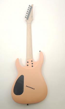 SXSample725273