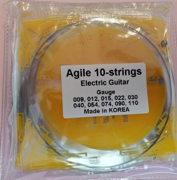 Agile Custom 10 String Guitar Set