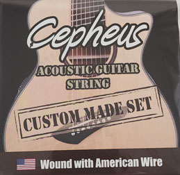 Cepheus 8 String Steel String Acoustic Set