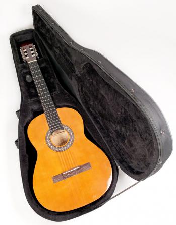 Attitude DGC-100 Dreadnought Guitar Case