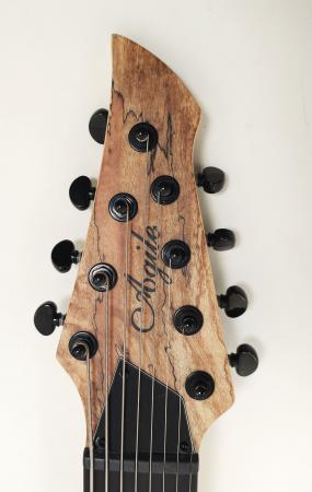 intrepidpro828ebcpnatspalted4977
