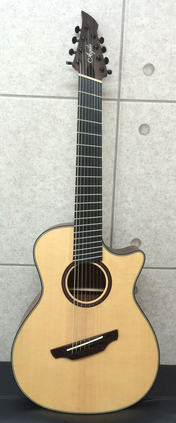acoustic8multi1.jpg