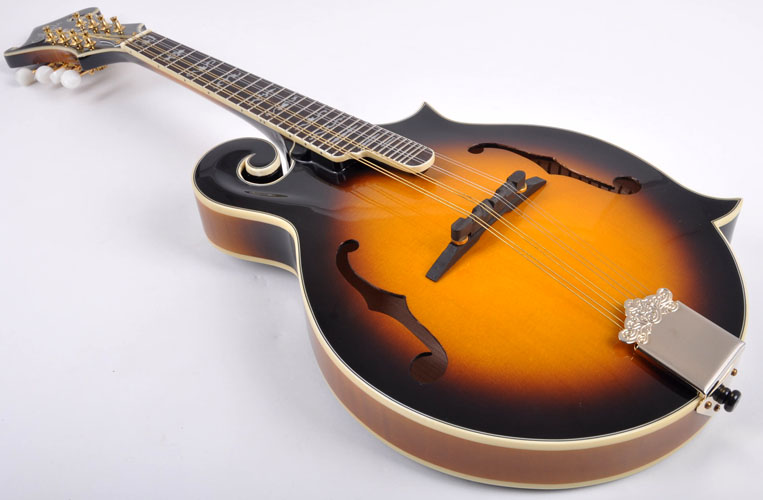 Agile AM1 Mandolin Demo at