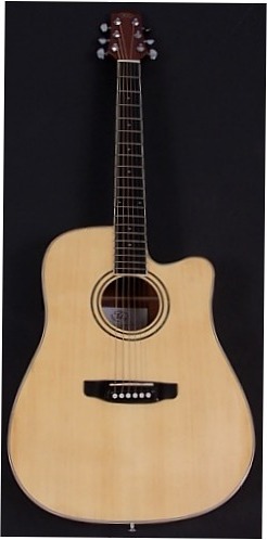 SX DG180CE Acoustic-Electric w/Spruce Top at Home