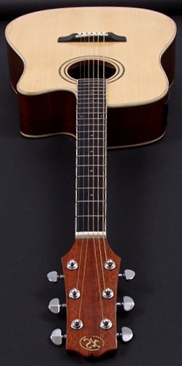 SX DG180CE Acoustic-Electric w/Spruce Top at Home