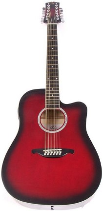 SX DG 25 CVT 12 String Acoustic Electric at Home