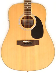 Hadean FG 410E N 12 String